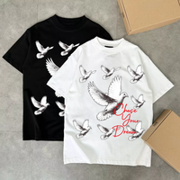 Chasing Wings Tee